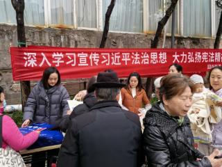 重庆渝北区：回兴街道开展宪法宣传进社区活动