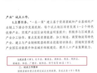 涡阳、长丰等10县（市）被国家发改委列为安徽省“特色优势产业”试点县