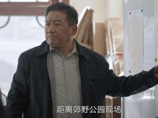 《我是刑警》：从70岁武英德着急生病，才明白秦川为何迎难而上？