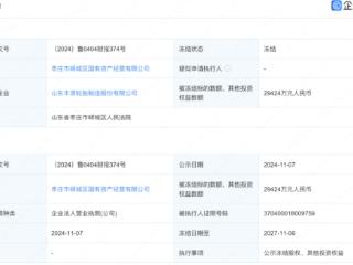 丰源轮胎价值2.94亿元股权遭冻结，因股东峄州国资集团成为被执行人