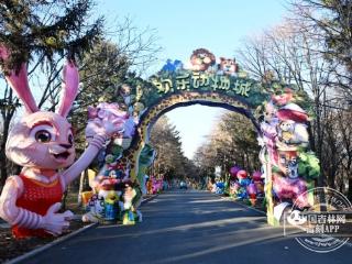 重磅官宣：“雪饼猴”回园 这个冬夜来长春动植物公园passion！