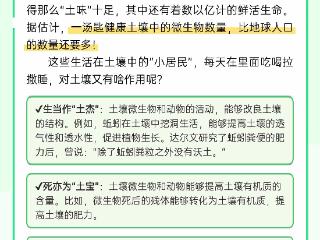 世界土壤日｜揭秘！健康土壤的奇妙“配方”