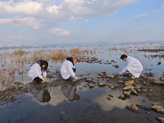 威宁：采集监测红嘴鸥新鲜粪便 为红嘴鸥的安全“护航”