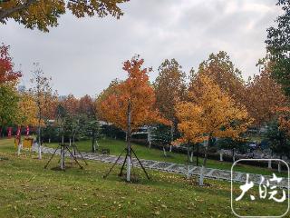 降温中﻿迎来大雪节气 8日早晨安徽气温低至-5℃