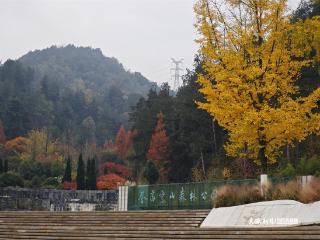 贵州山居冬游记｜一半嫣红一半明黄，贵阳这座森林公园美如画