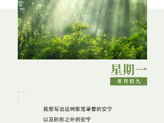 作家日签 | 树才：我想写出此刻的安宁