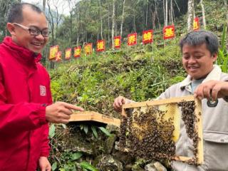 大唐岩滩水力发电有限责任公司：打造安兰村原生态致富“蜜”径