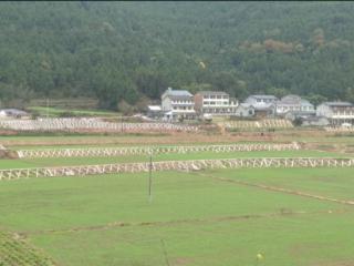 广元剑阁：高标准农田为打造粮食生产核心区提供根本保障