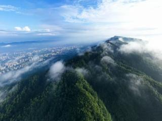 重庆缙云山自然教育：从“样本”到“样板”的蝶变之路