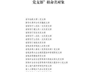 贵州省通信管理局信息通信管理处党支部获评省直机关首批“四强”党支部