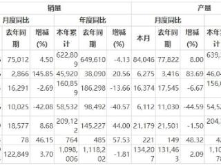 【冀观察】长城汽车新能源转型，“速度”与“节奏”谁更重要？