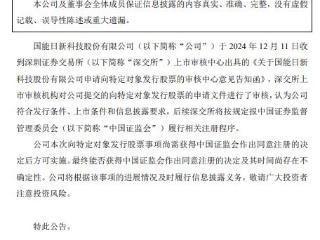 国能日新定增募不超3.78亿获深交所通过 长江保荐建功