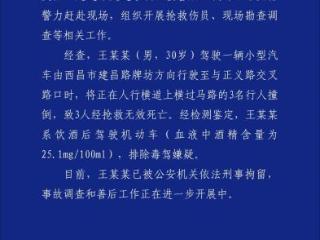 四川西昌警方通报男子酒后驾车当街撞死3名行人：被刑拘