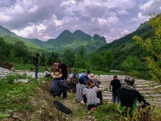 中国人寿：走好巴蜀大山里的乡村振兴路