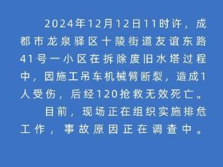 成都一施工吊车机械臂断裂 致1人死亡