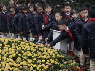 菊花在中医药中有何药用价值 一群小学生在植物园里寻找答案