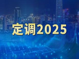 20位专家解读中央经济工作会议：2025年经济工作这么干！