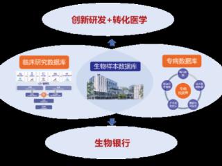 贵州数据宝再获数据要素×医疗健康领域数据资产化新突破