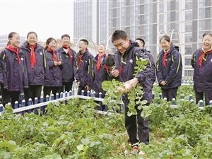 两地学生同育蔬菜水果 爱国情怀共根植