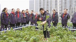 两地学生同育蔬菜水果 爱国情怀共根植