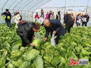 邢台市隆尧县黄营村来了旅游团