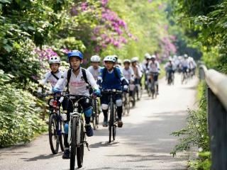 土城古镇：科技赋能红色旅游，用“旅游+”讲好红色故事