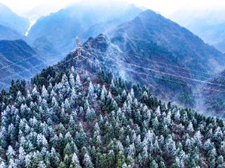 高山雾凇美丽“冻”人