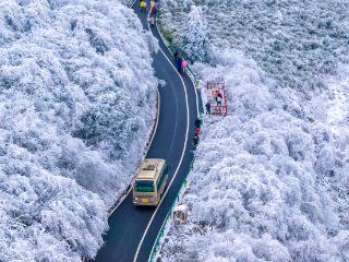 金佛山雪景引客来，周末玩雪乐翻天