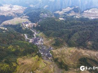 【高清组图】贵州从江：冬日梯田景如画