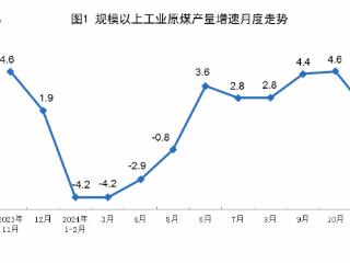 国家统计局公布2024年11月份能源生产情况