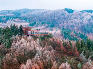 重庆山王坪：四季色彩同聚一山