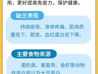 科学摄入六大营养素 预防呼吸道传染病