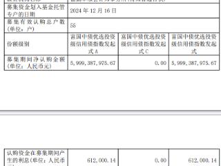 富国中债优选投资级信用债成立 规模60亿元