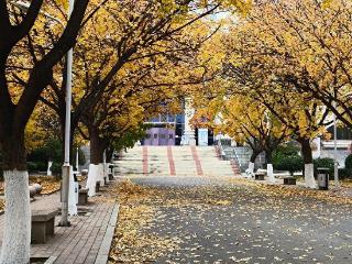 寻找山东最美大学|山东政法学院房晨曦：《仲冬霜月，岁末暮秋》