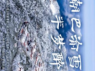 镜界 | 一朝巴渝雪，半梦醉人间（一周精选第256期）