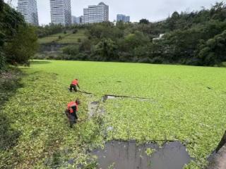 渝北区悦来街道：全面开展河流“清漂”保水质行动