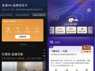 飞猪会员直通超40家旅行品牌会员 商家称复购率超出预期