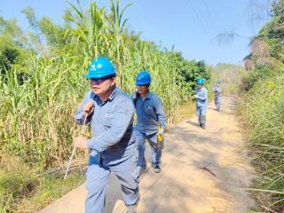 灵山供电局构建成建制自主运维机制 提升供电质量解民忧