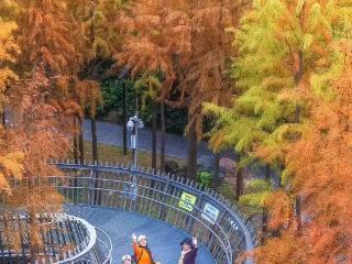 超梦幻！福州市区这里，治愈系风景！