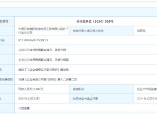 年报数据造假，中国石油集团渤海钻探工程有限公司井下作业分公司被罚