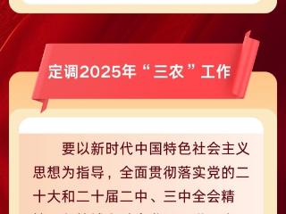 建设农业强国 一图读懂2025年“三农”工作重点任务