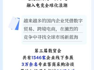 数读中国丨规模稳步增长 数字贸易为开放注入新动能