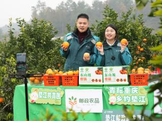 电商直播拓销路 乡村振兴添新能