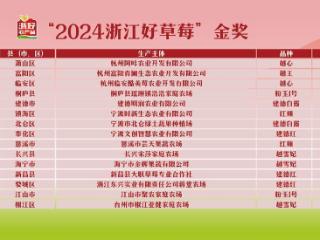 浙江哪家草莓最能打？来看专家的严选指南