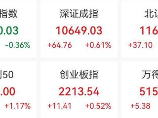 创业板指收涨0.52%，液冷服务器概念爆发