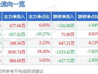 西典新能（603312）12月19日主力资金净买入677.66万元