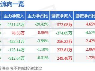 强邦新材（001279）12月19日主力资金净卖出2511.45万元