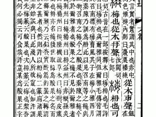 以梅抒情，中国赏梅极简史