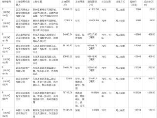 武汉底价成交22宗地块：14宗宅地成交额逾60亿元