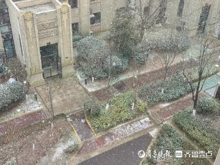 冬至日冬雪至！青岛市区下了今冬第一场雪